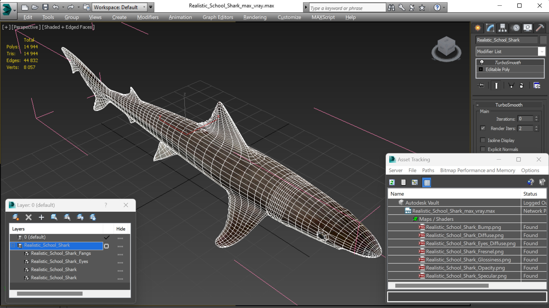 Realistic School Shark 3D