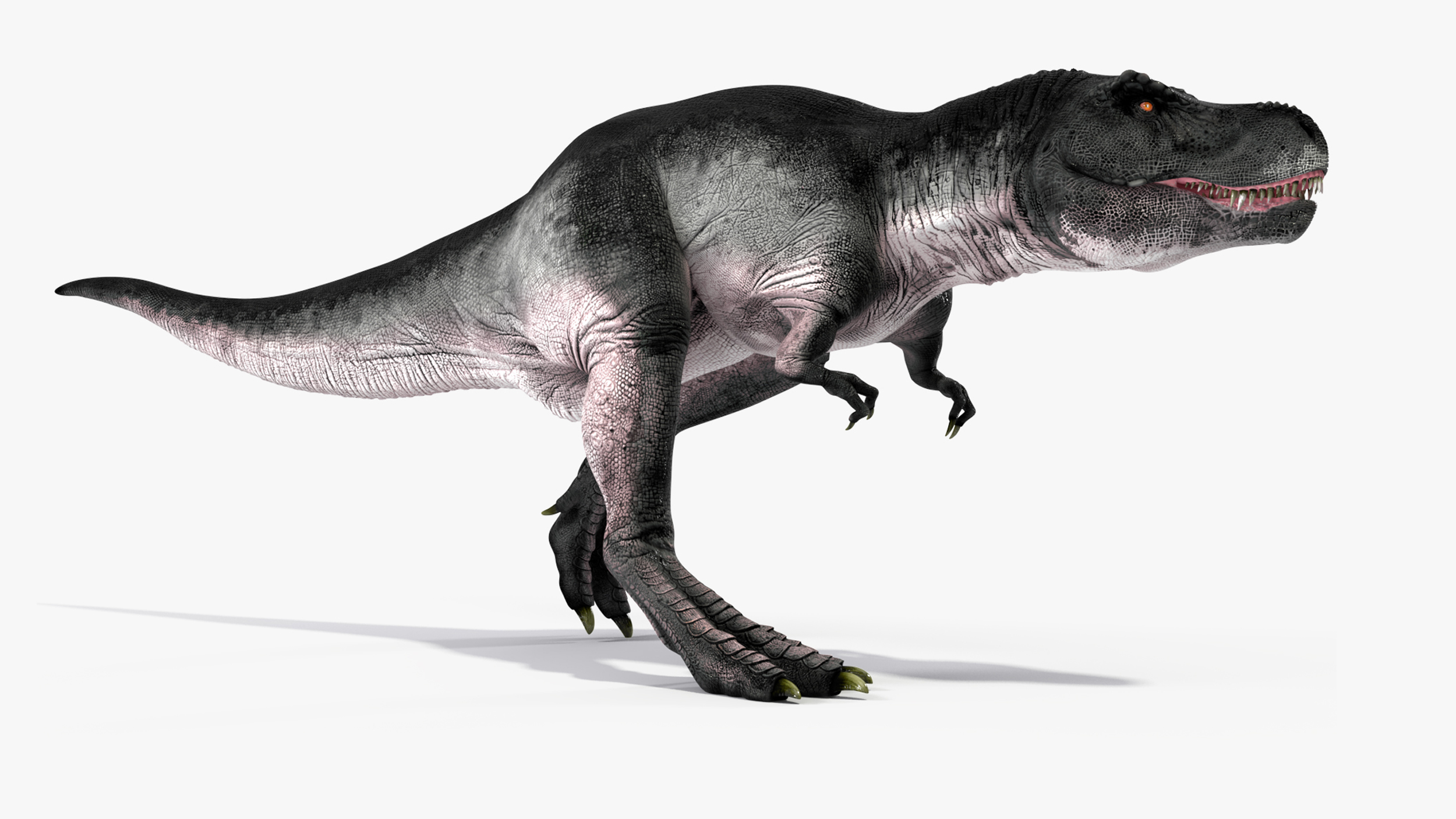 3D T Rex Running Animated Rigged for Maya model