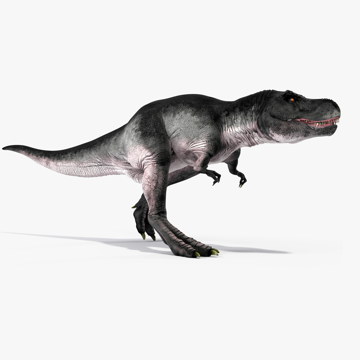 3D T Rex Running Animated Rigged for Maya model