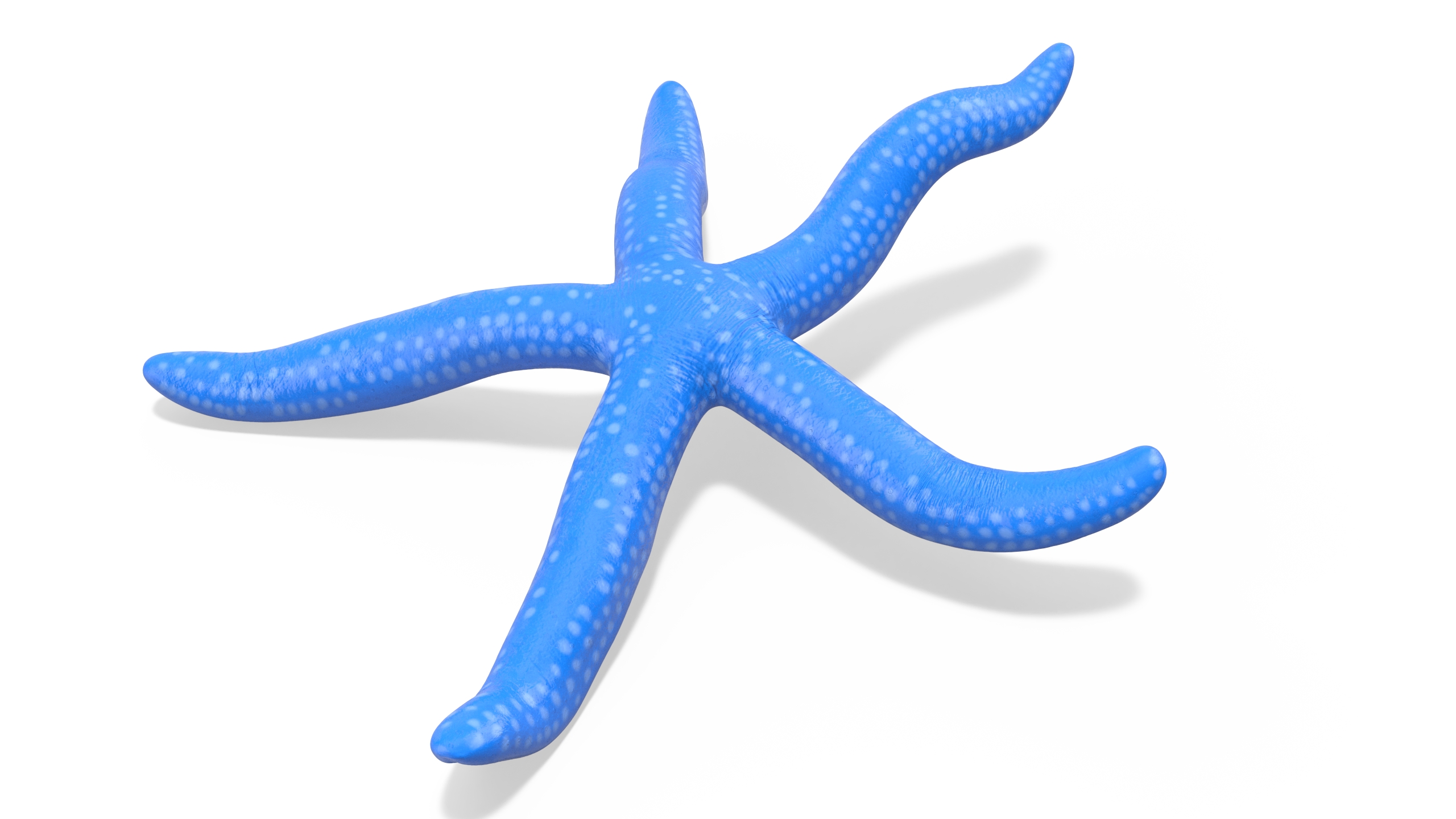 Sea Star Blue Crawling Pose 3D