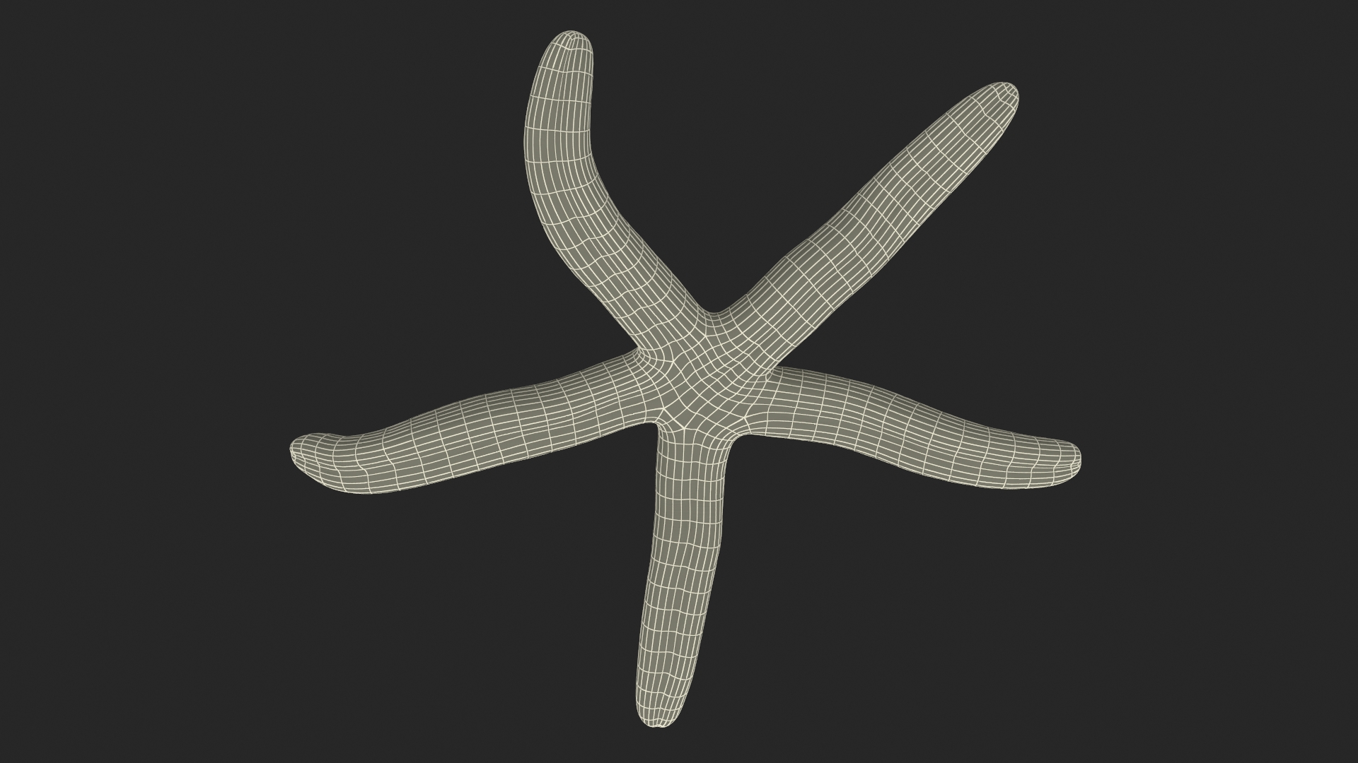 Sea Star Blue Crawling Pose 3D