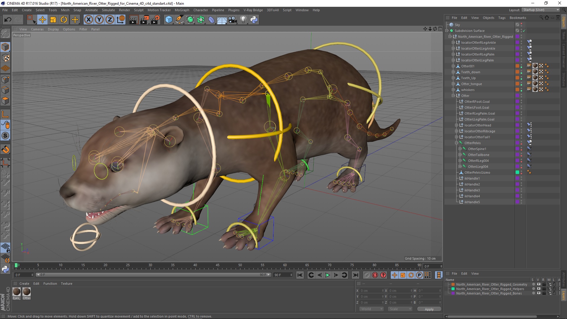 North American River Otter Rigged for Cinema 4D 3D