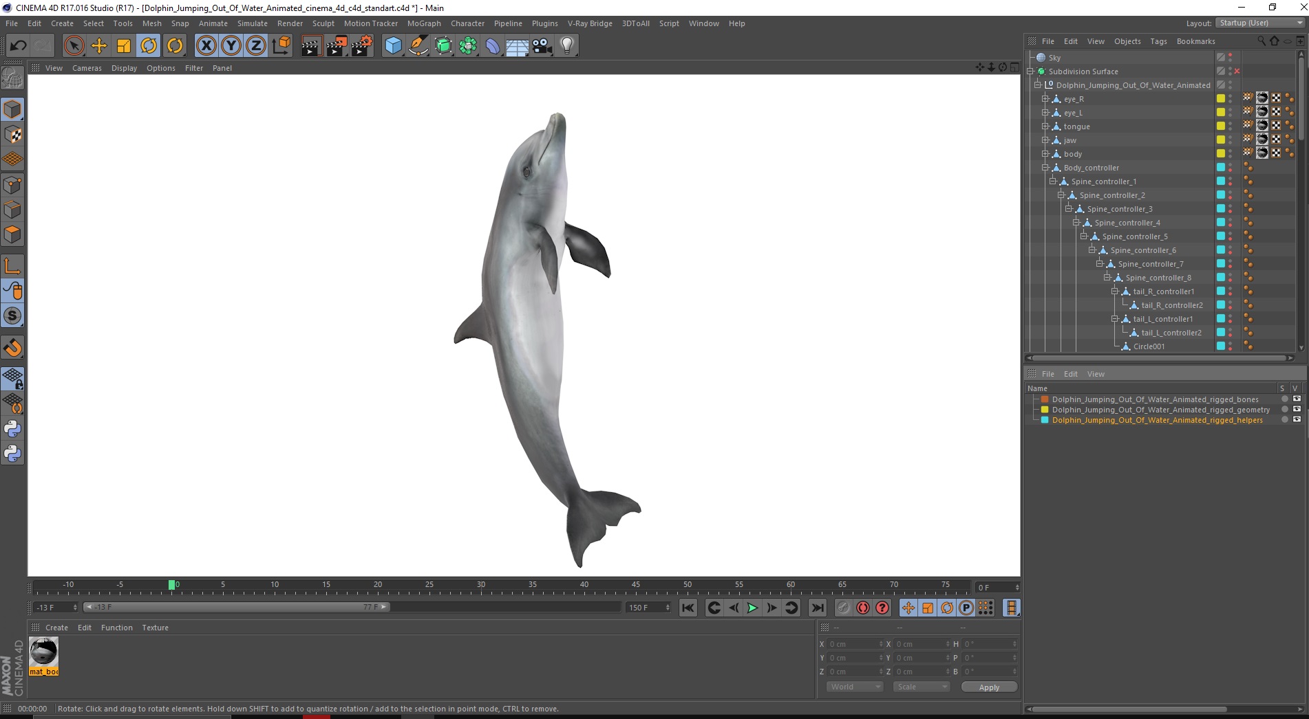 3D Dolphin Jumping Out Of Water Animated for Cinema 4D