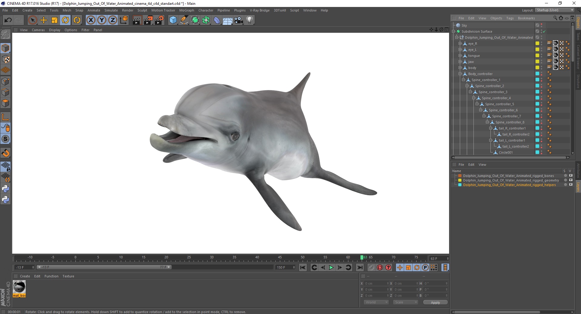 3D Dolphin Jumping Out Of Water Animated for Cinema 4D