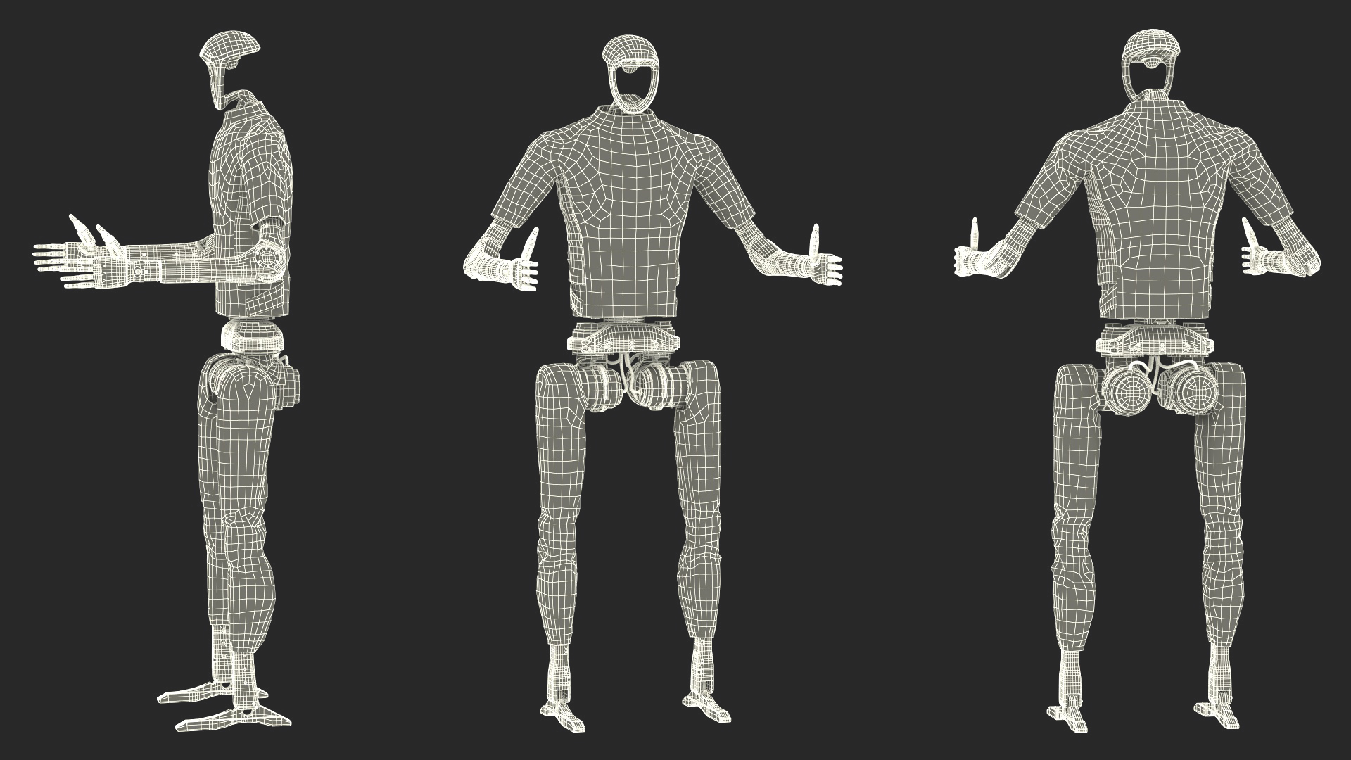 Humanoid Robot with Dexterous Hands Rigged 3D