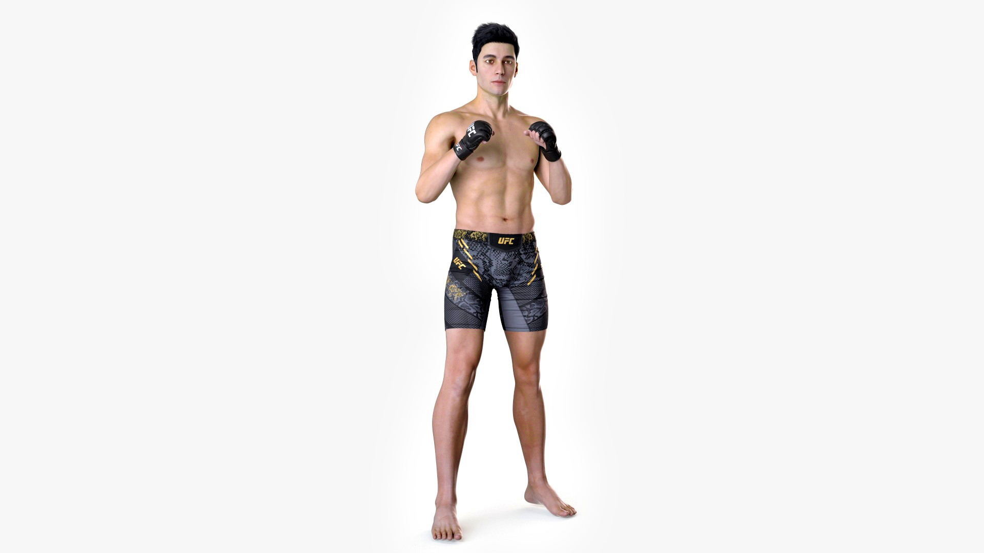 3D Fighter UFC MMA in Fighting Stance Fur model