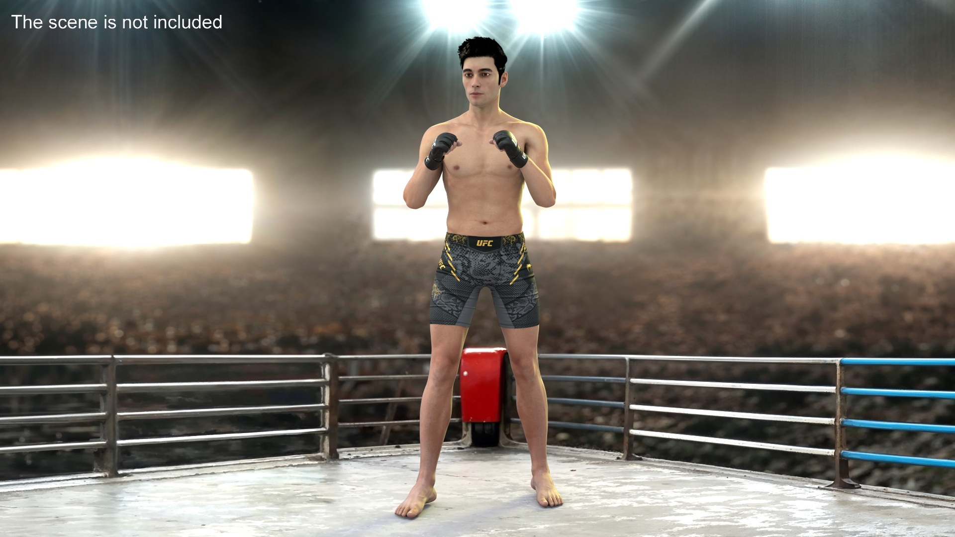 3D Fighter UFC MMA in Fighting Stance Fur model