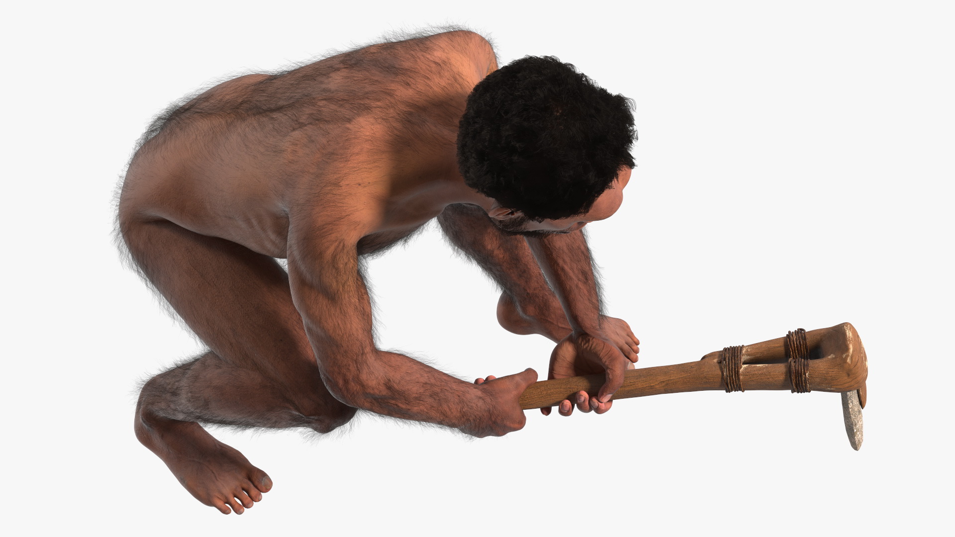 3D model Homo Erectus with a Prehistoric Stone Hoe Fur