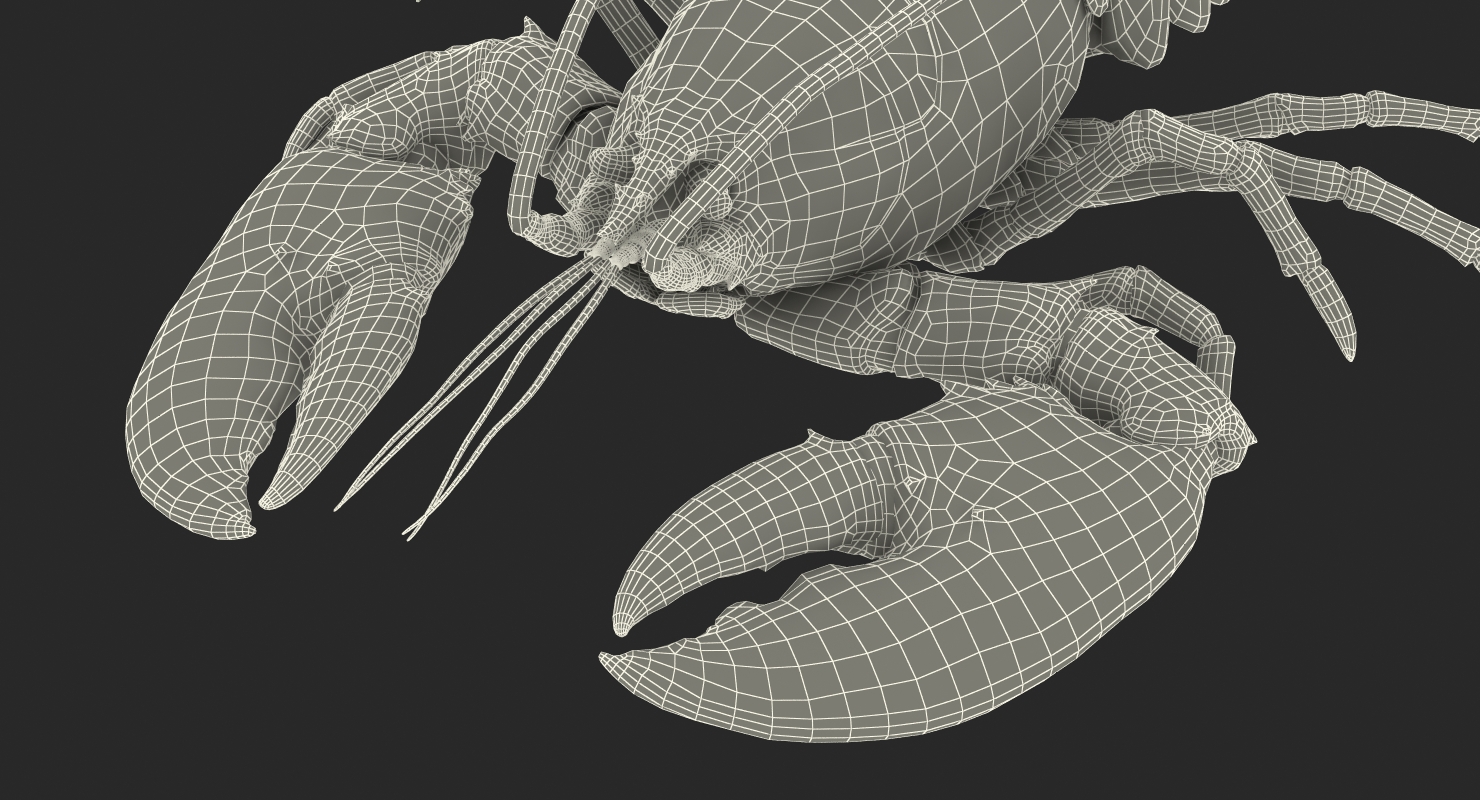 Lobster Pose 2 3D model