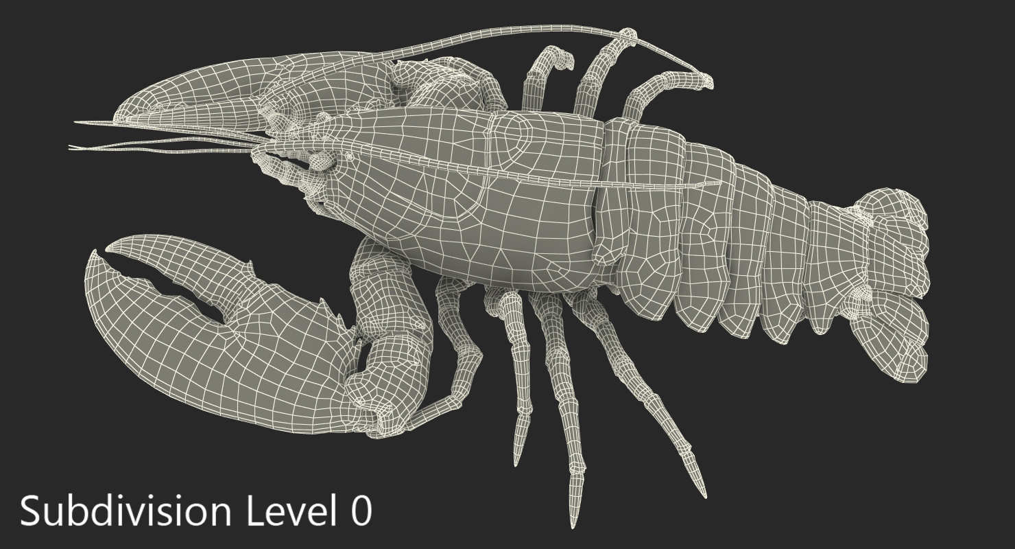 Lobster Pose 2 3D model