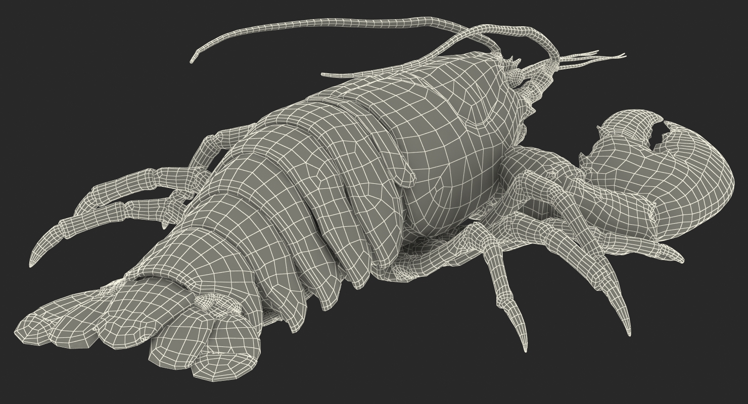 Lobster Pose 2 3D model