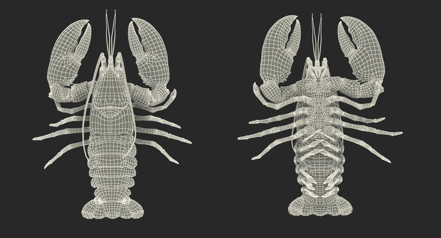 Lobster Pose 2 3D model