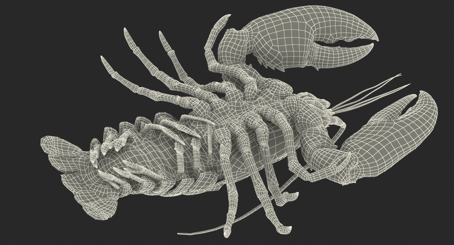 Lobster Pose 2 3D model