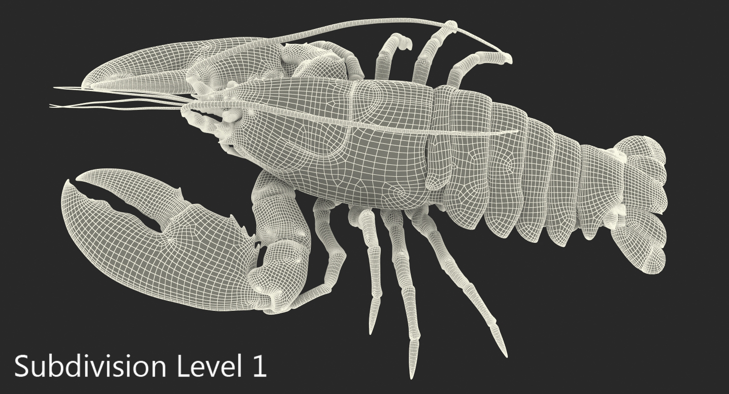 Lobster Pose 2 3D model