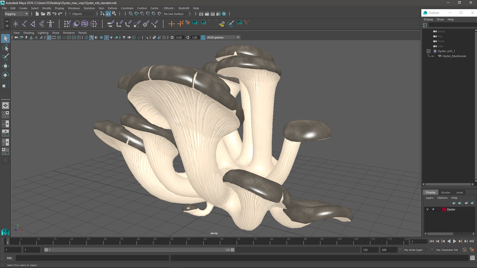 3D model Oyster