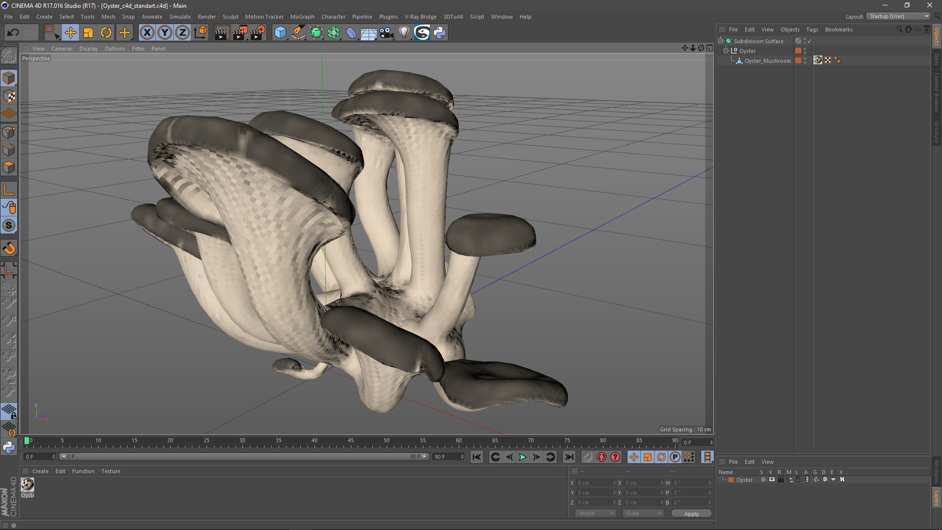 3D model Oyster