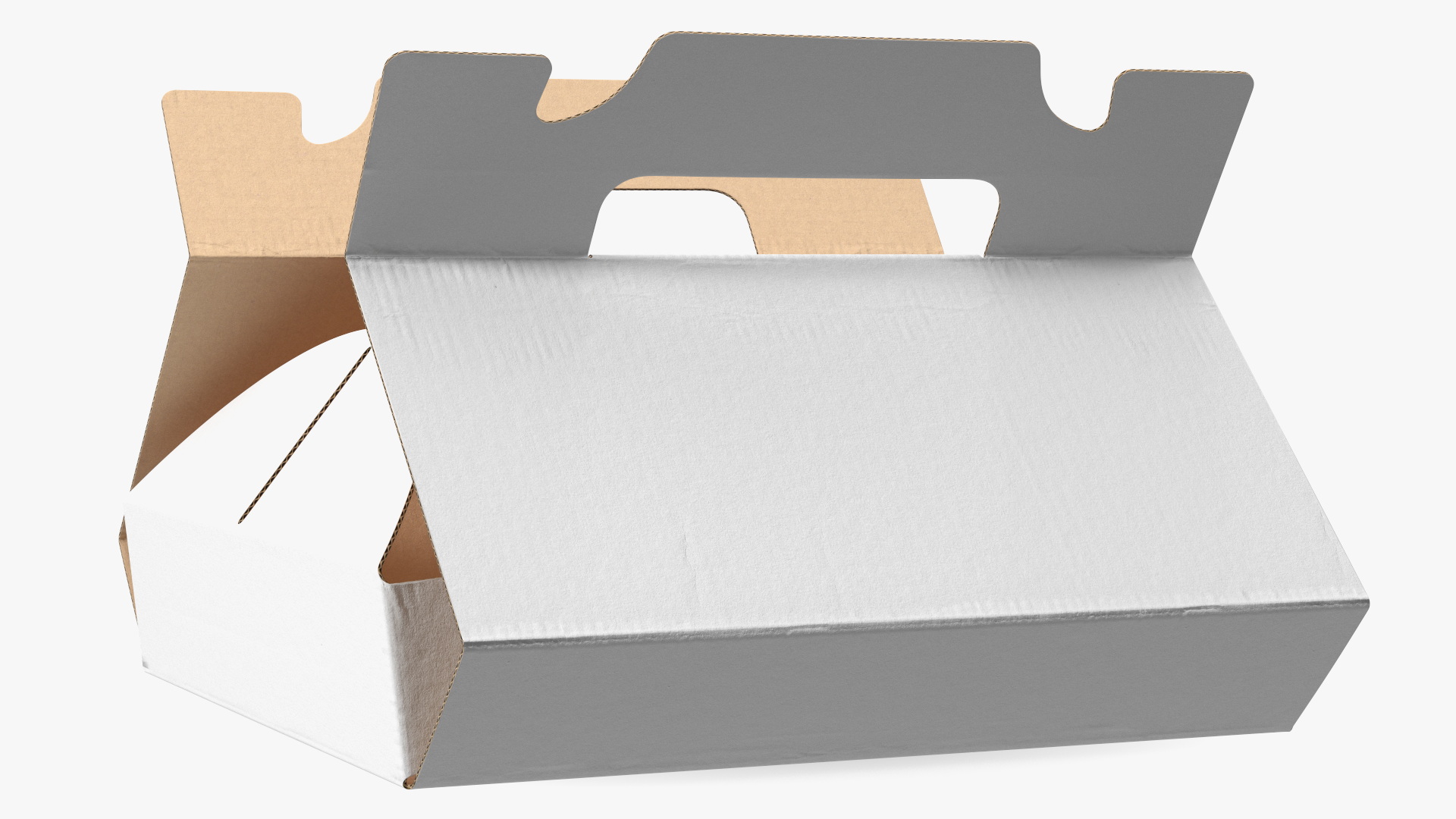 3D Carton Box with Pizza Open