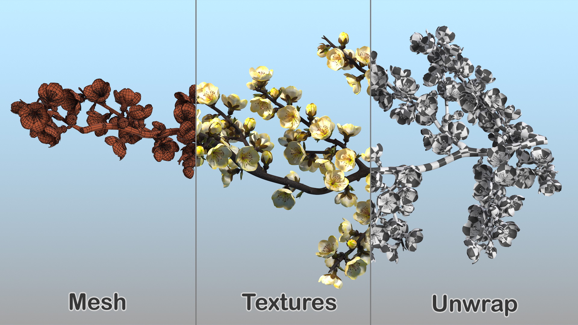 3D Yellow Cherry Blossom Branch model