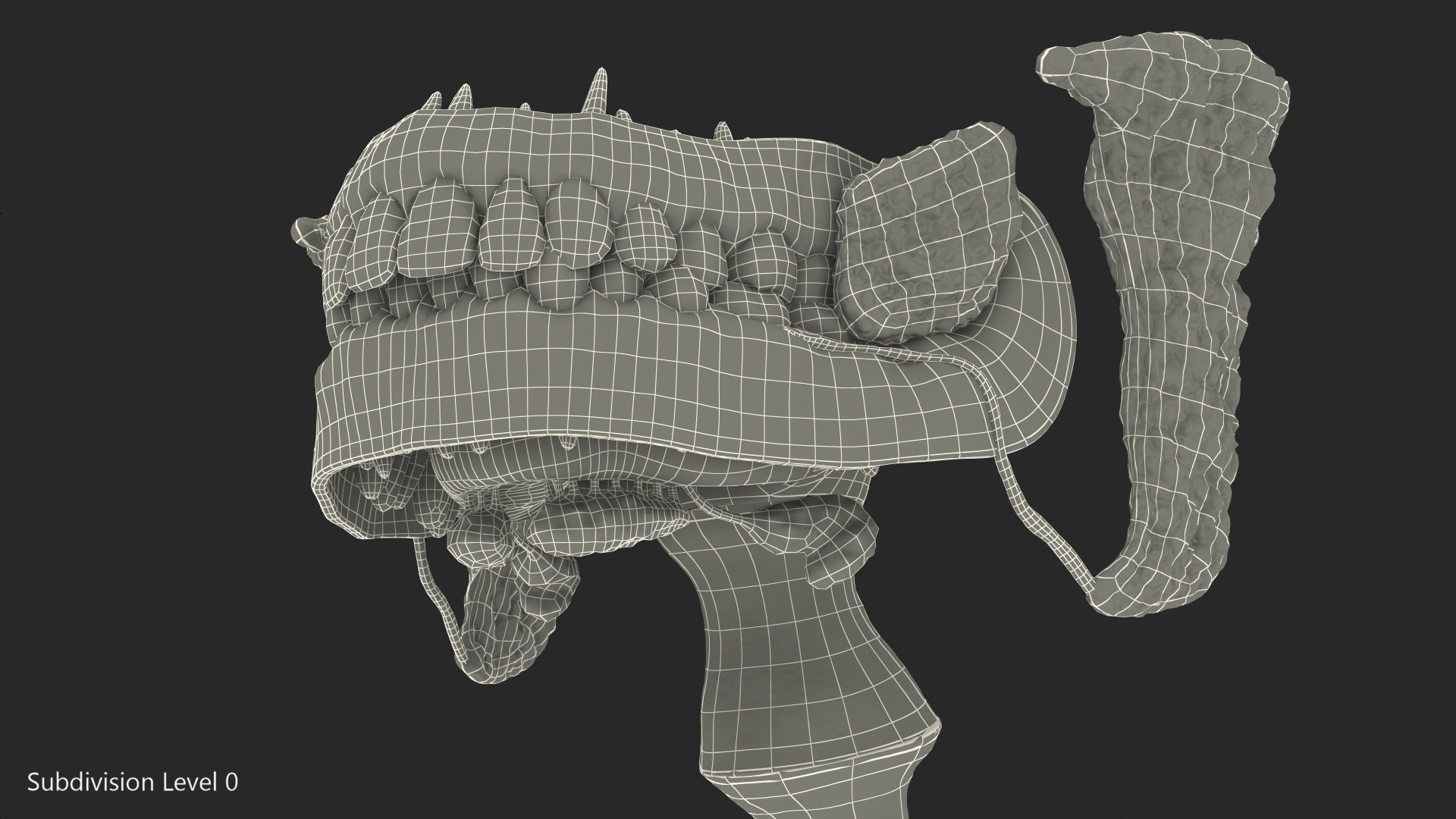 3D model Human Digestive System Anatomy