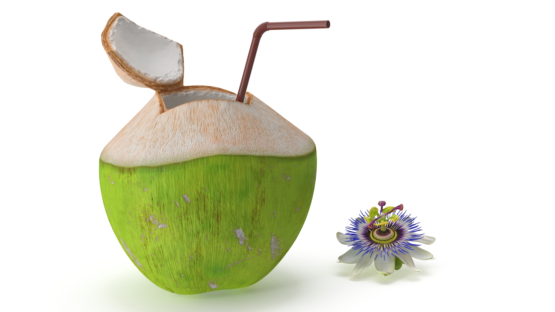 Tropical Coconut Drink with Passion Flower 3D