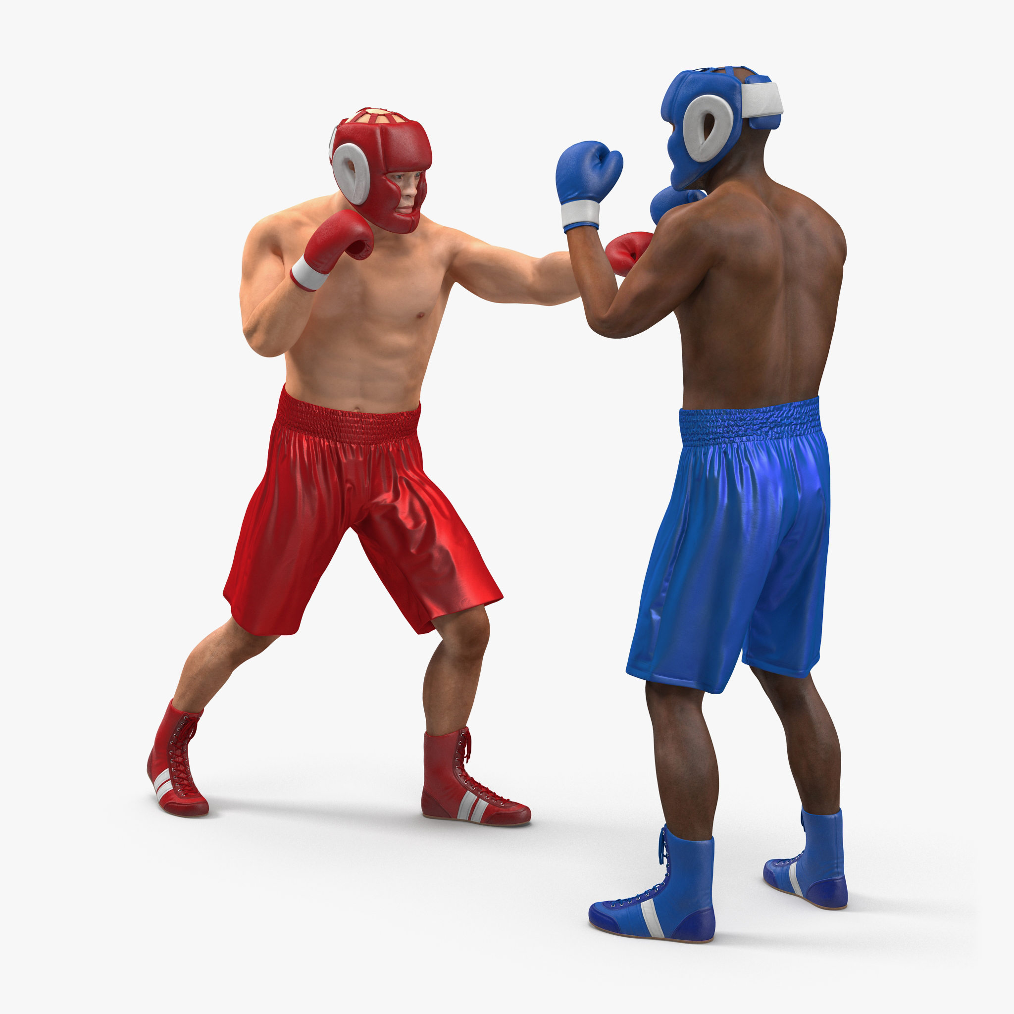 Two Boxers 3 3D