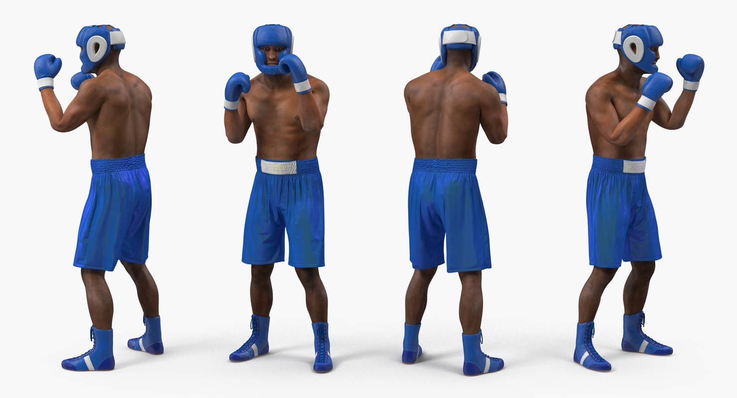 Two Boxers 3 3D