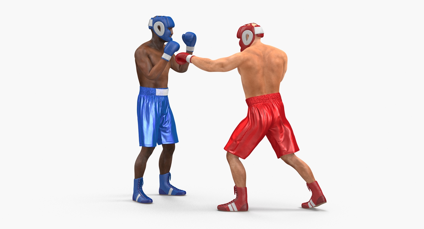 Two Boxers 3 3D