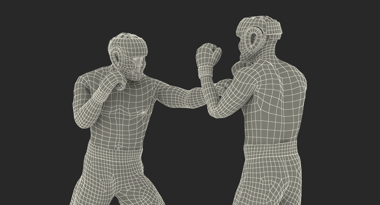 Two Boxers 3 3D