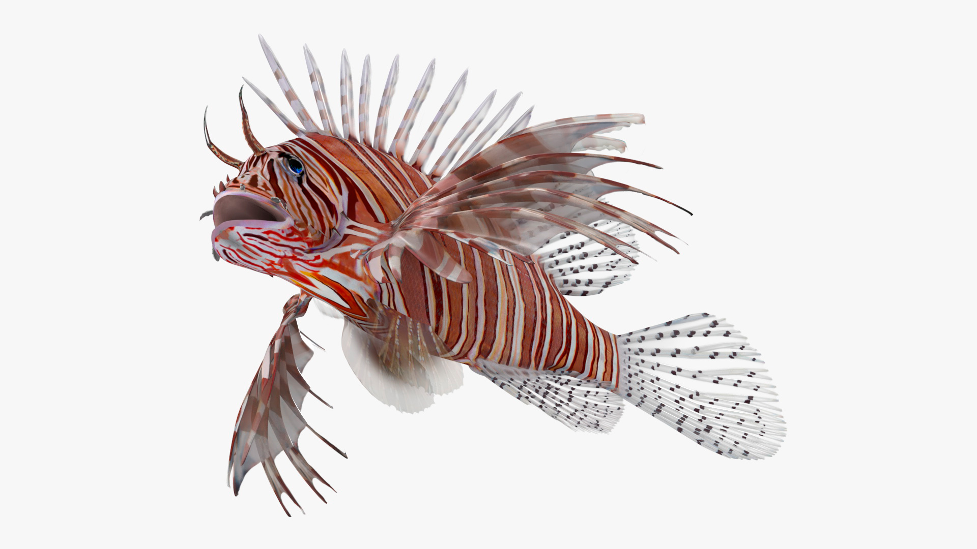 3D model Lionfish Marine Creature Rigged for Cinema 4D