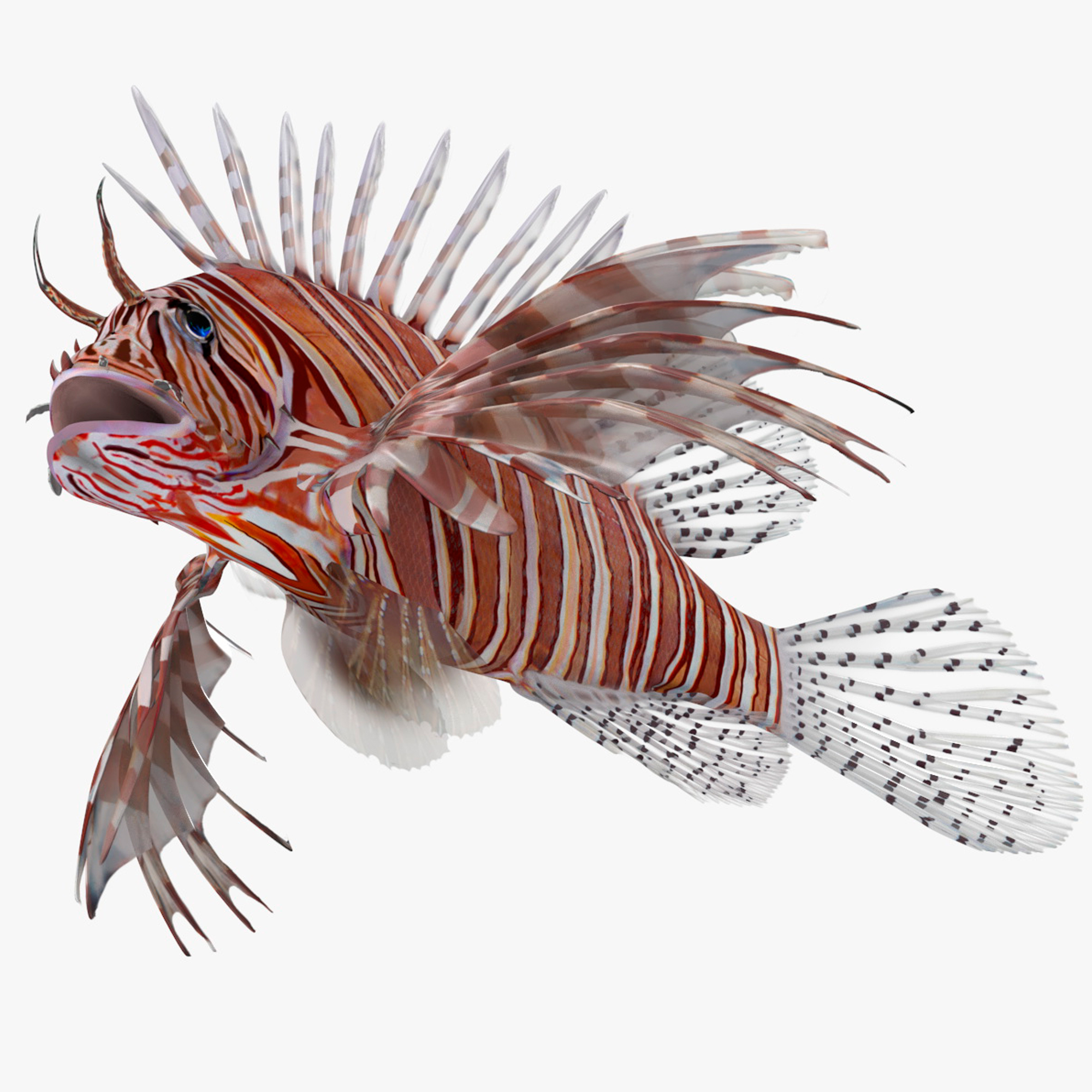 3D model Lionfish Marine Creature Rigged for Cinema 4D