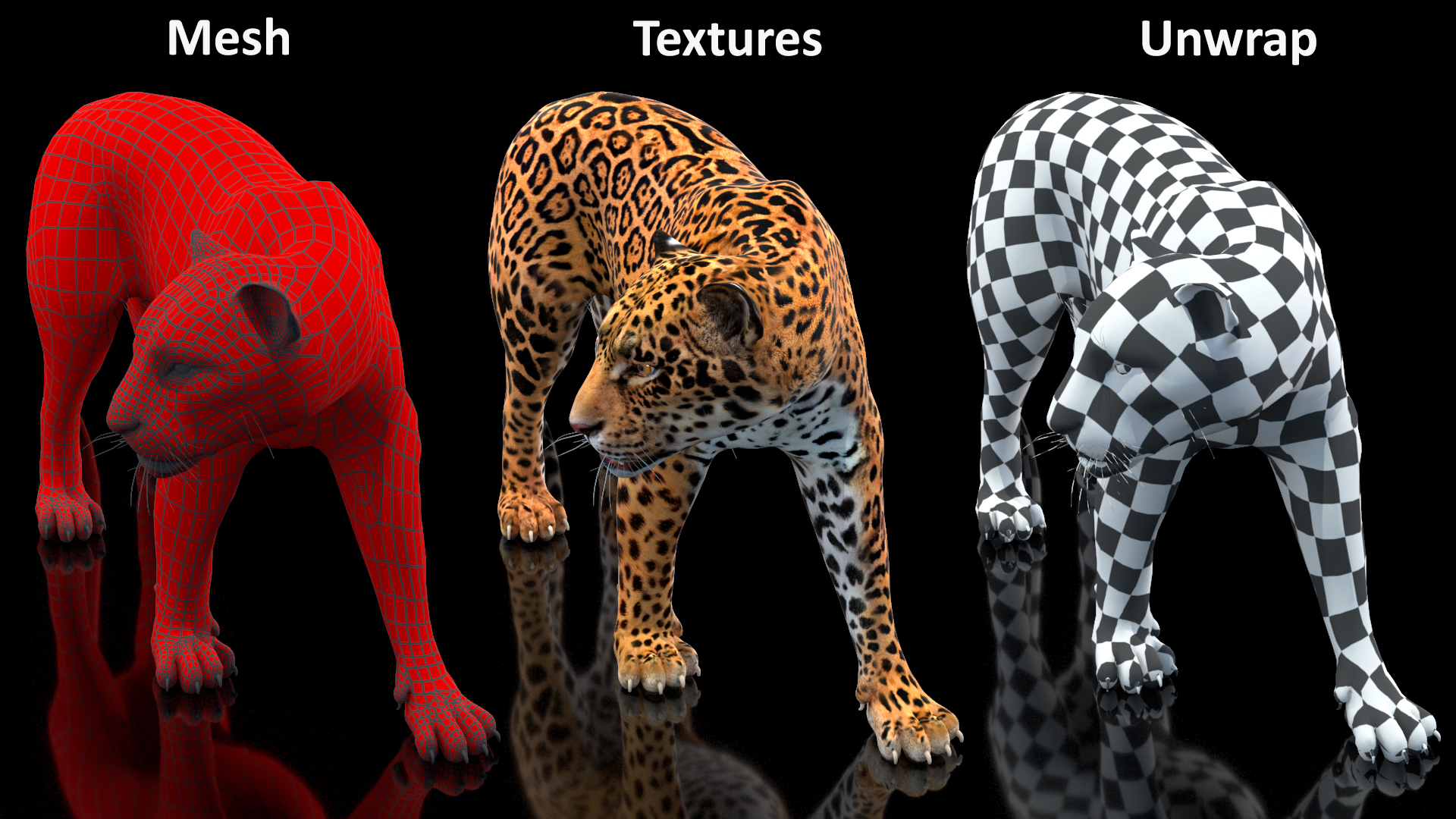 Jaguar Walking Pose 3D model