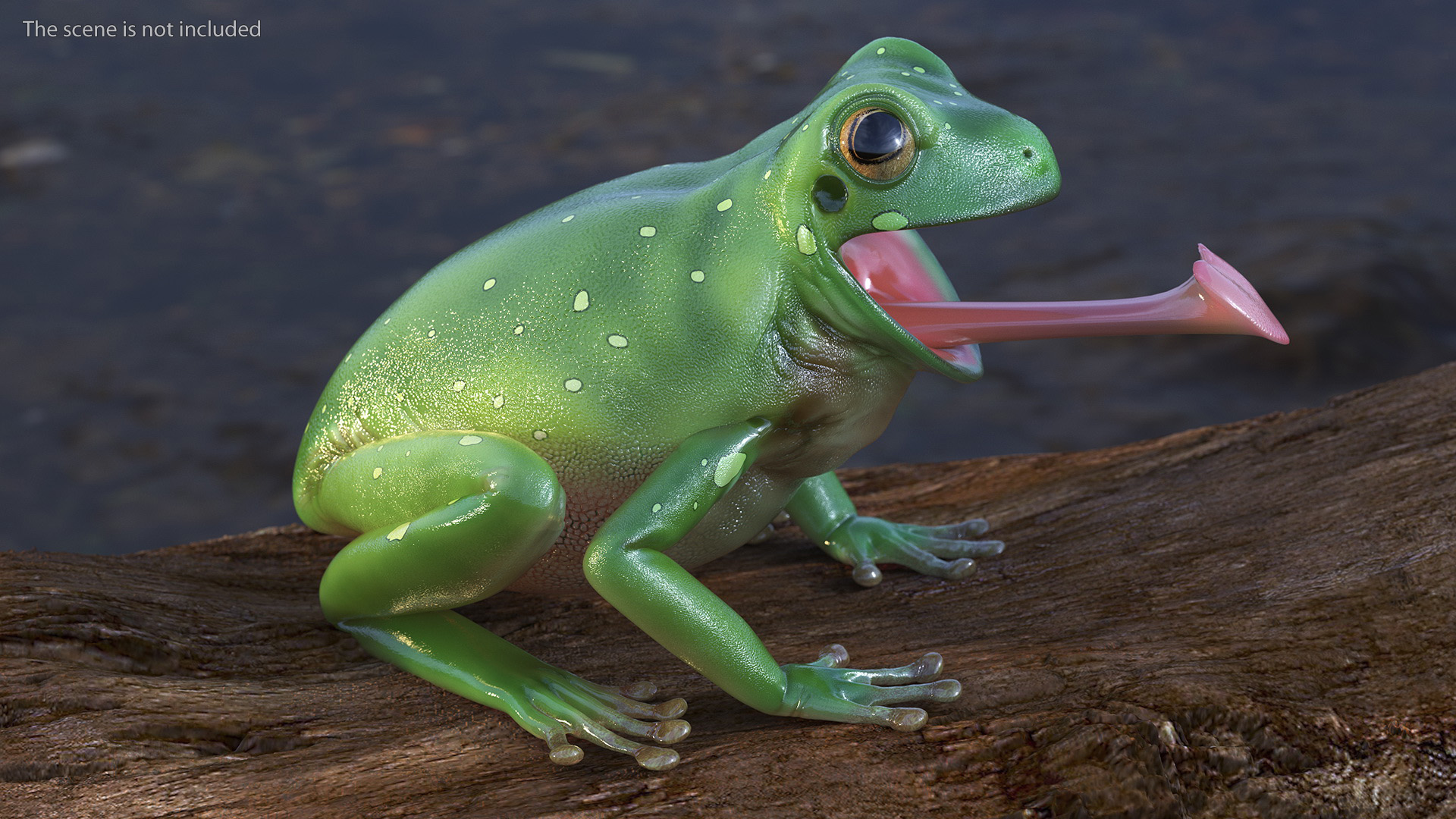 Australian Green Tree Frog With Extended Tongue 3D