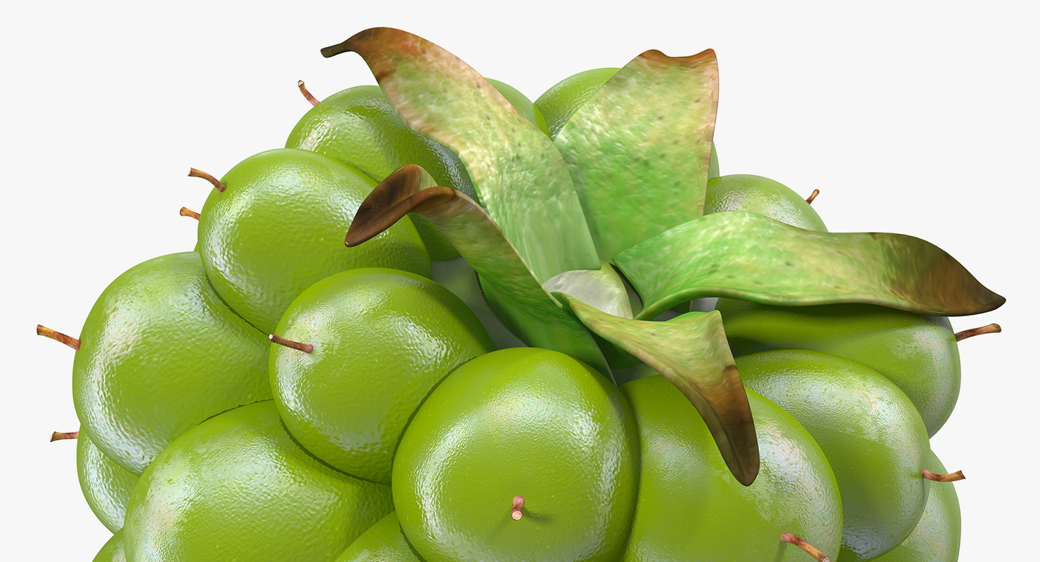 3D Unripe Green Blackberry model