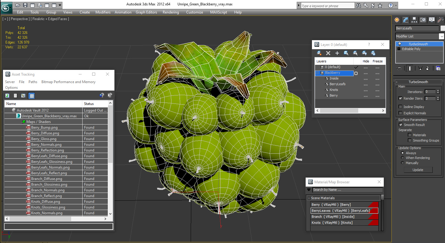 3D Unripe Green Blackberry model