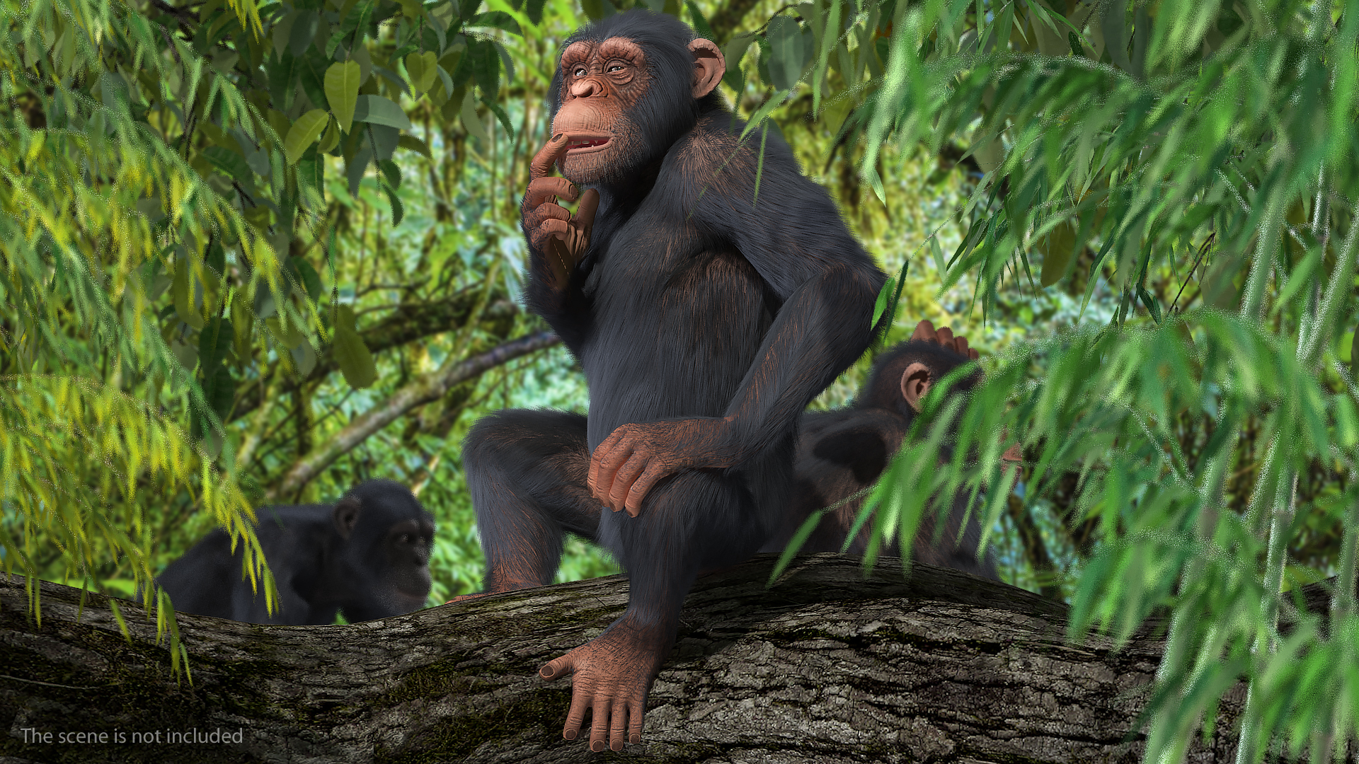 Animated Chimpanzee Running Light Skin Fur Rigged 3D model