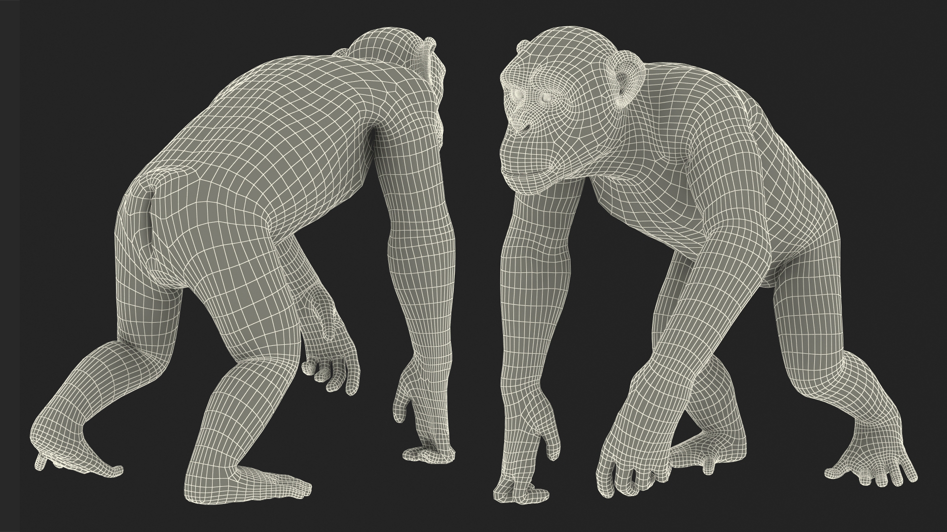 Animated Chimpanzee Running Light Skin Fur Rigged 3D model