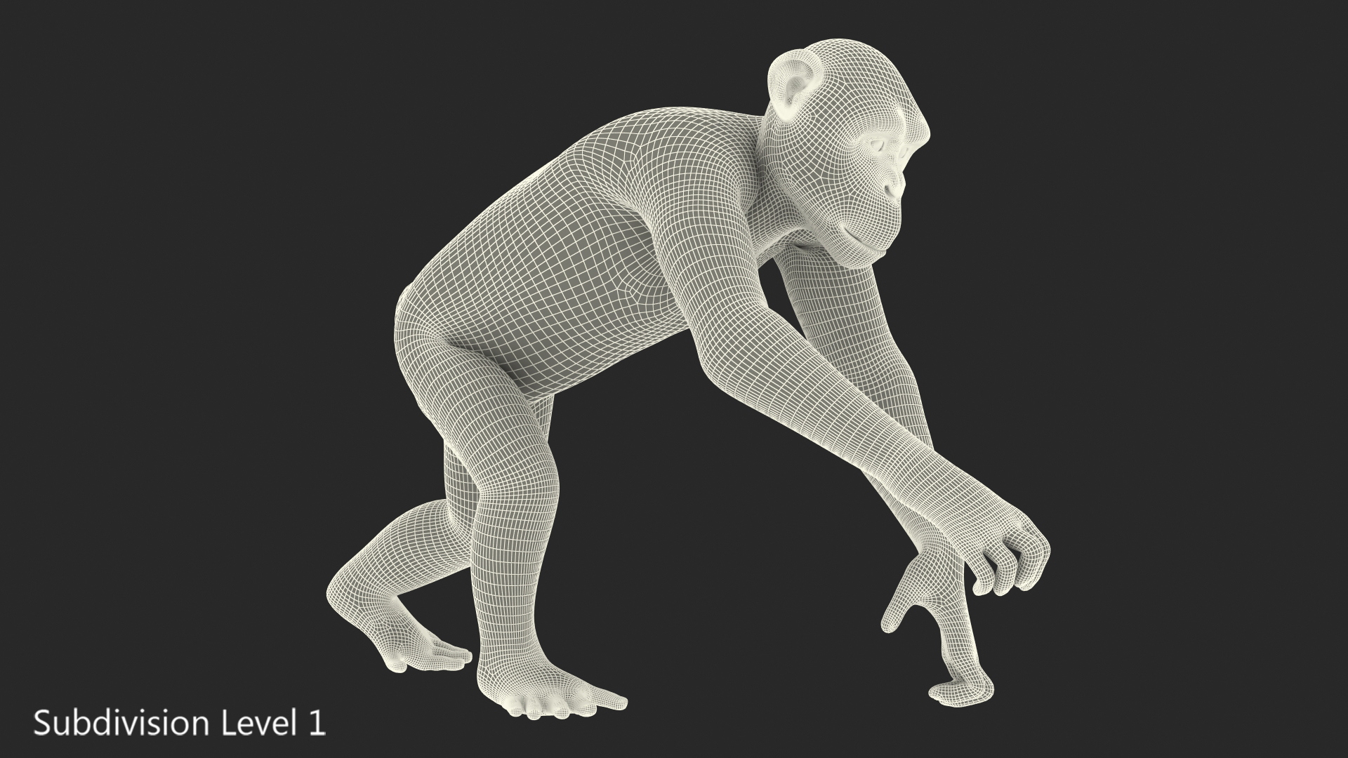 Animated Chimpanzee Running Light Skin Fur Rigged 3D model