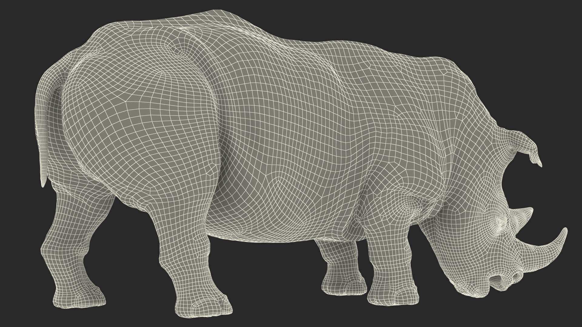 3D model Adult Rhino Drinking Pose