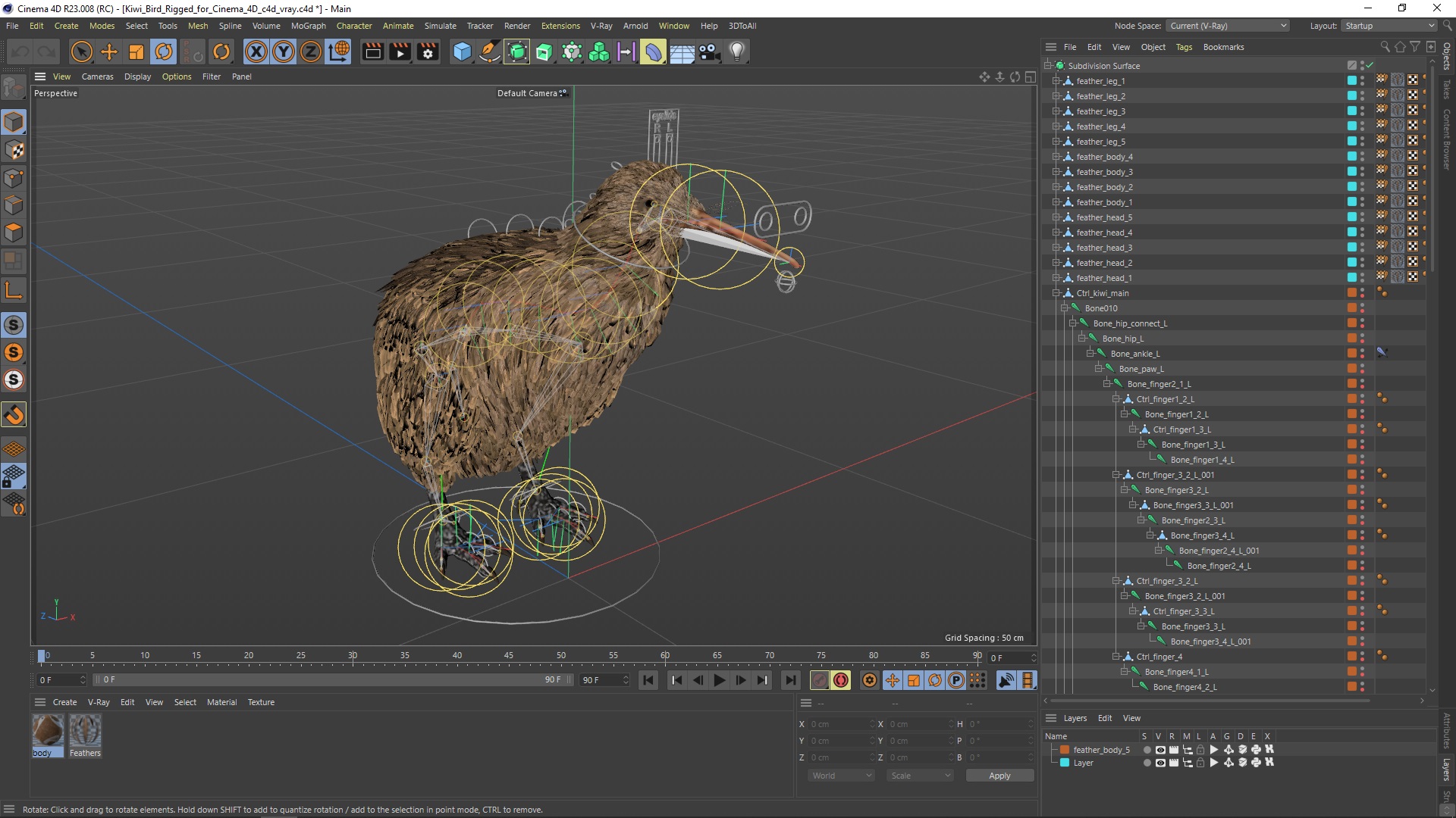 3D model Kiwi Bird Rigged for Cinema 4D