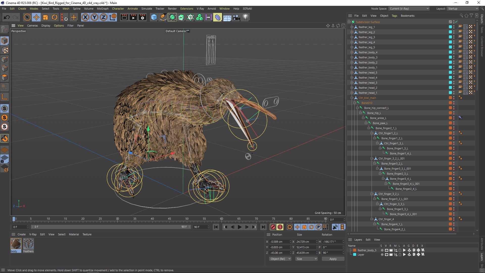 3D model Kiwi Bird Rigged for Cinema 4D