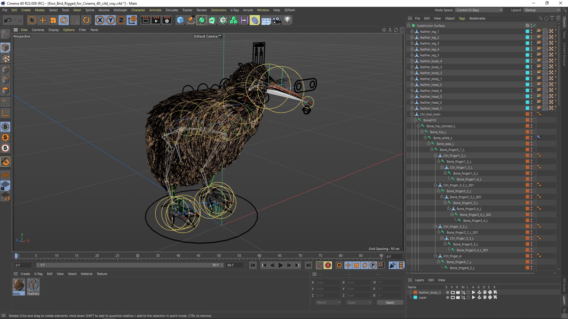 3D model Kiwi Bird Rigged for Cinema 4D