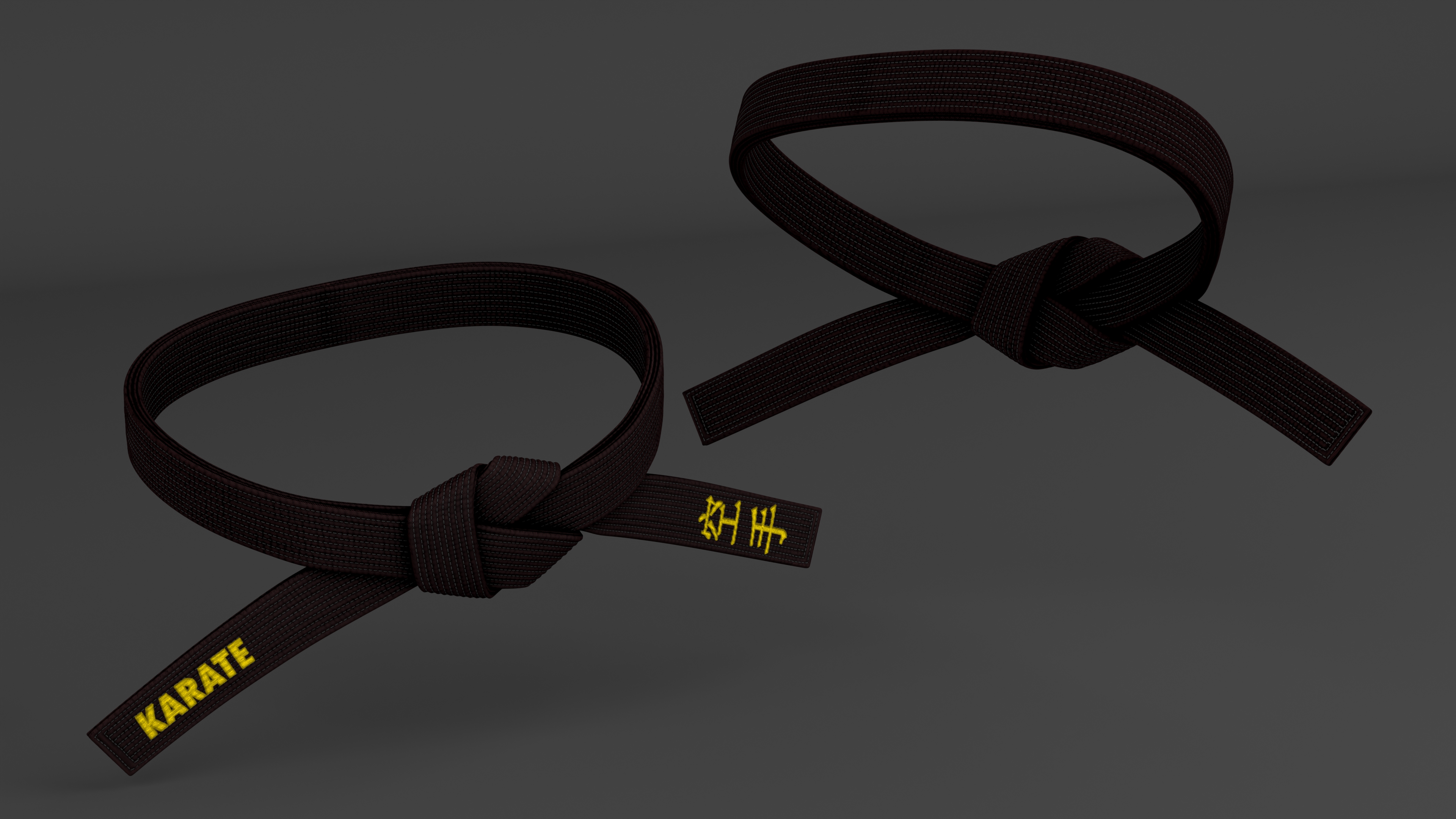 Black Waist Karate Obi Belt 3D