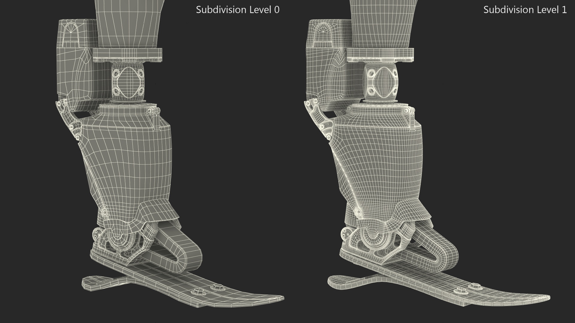 3D Prosthetic Leg Rigged