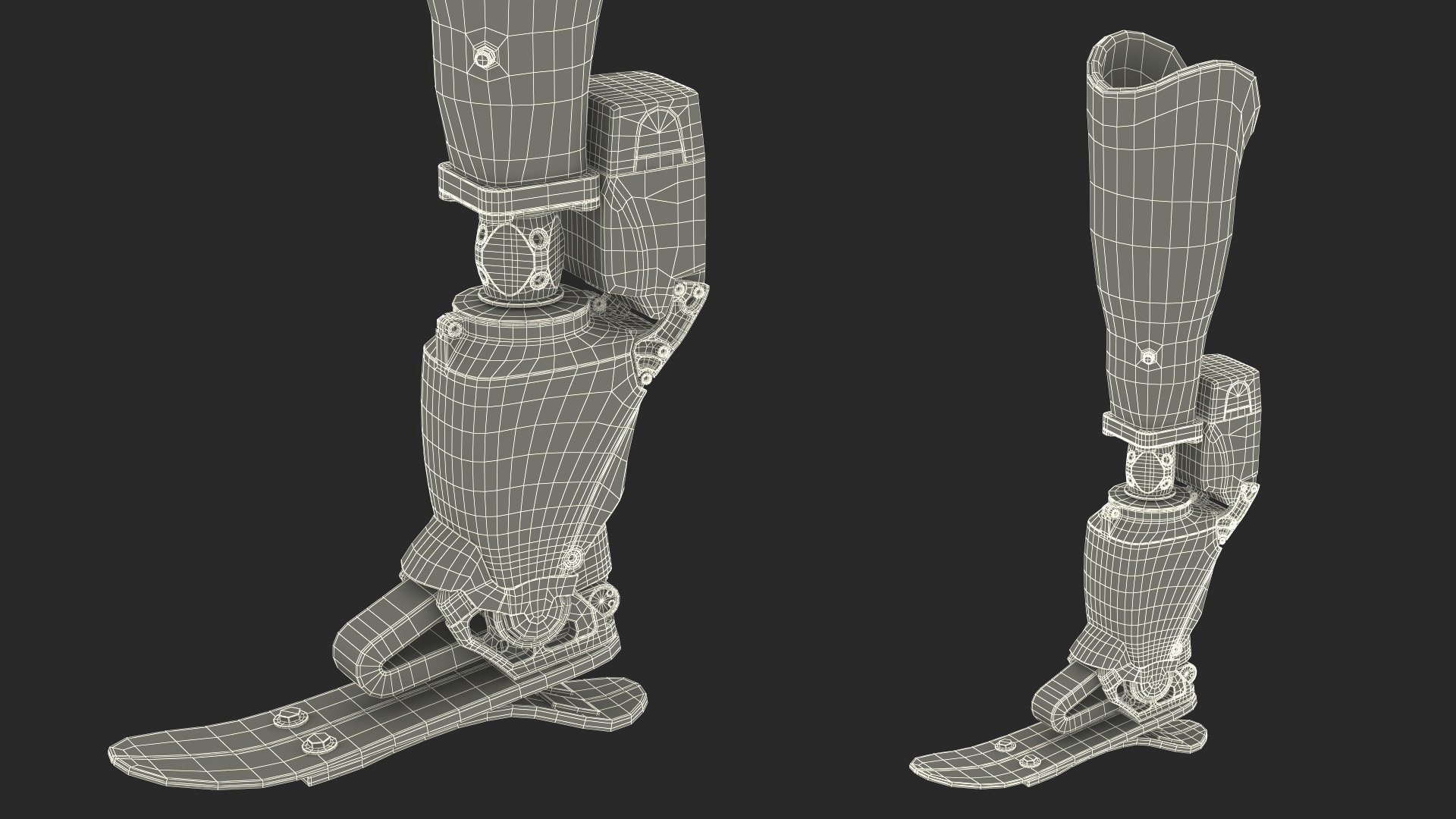 3D Prosthetic Leg Rigged