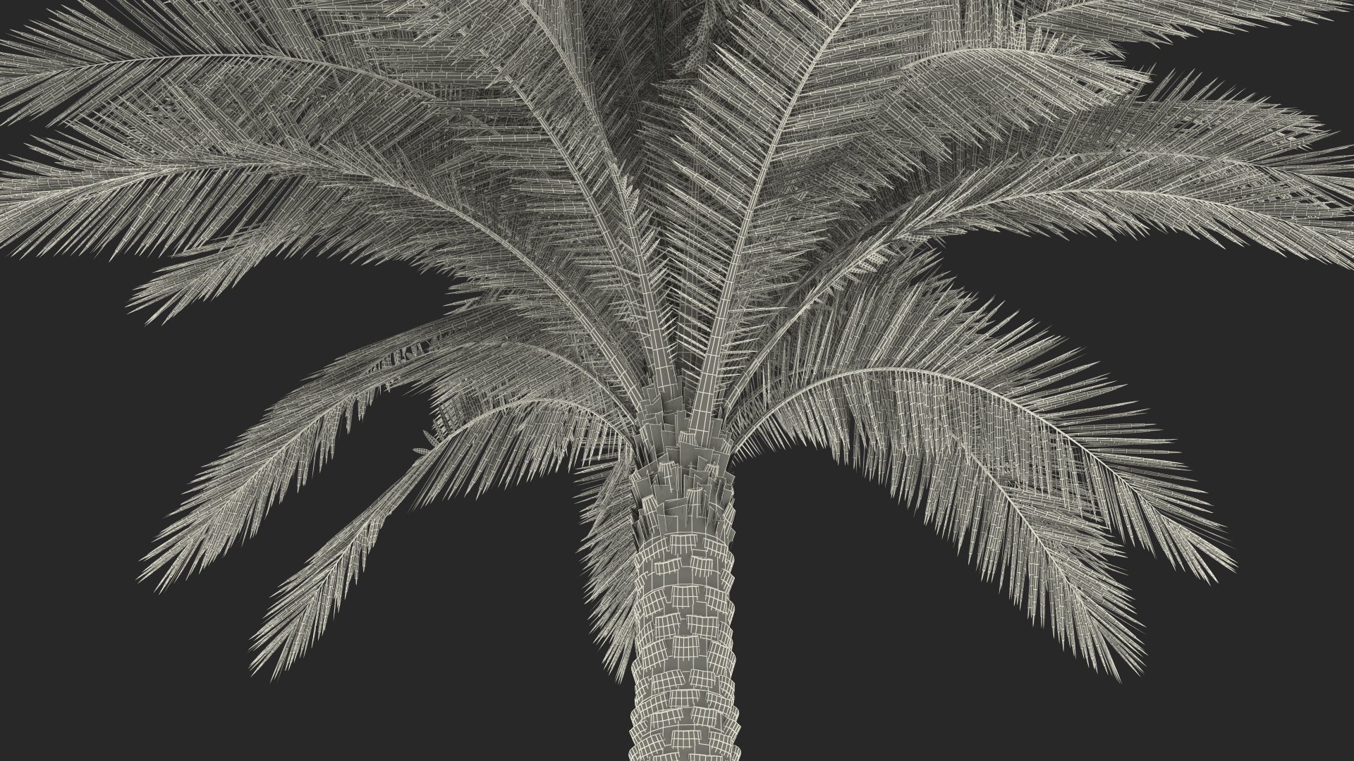 3D Silver Date Palm