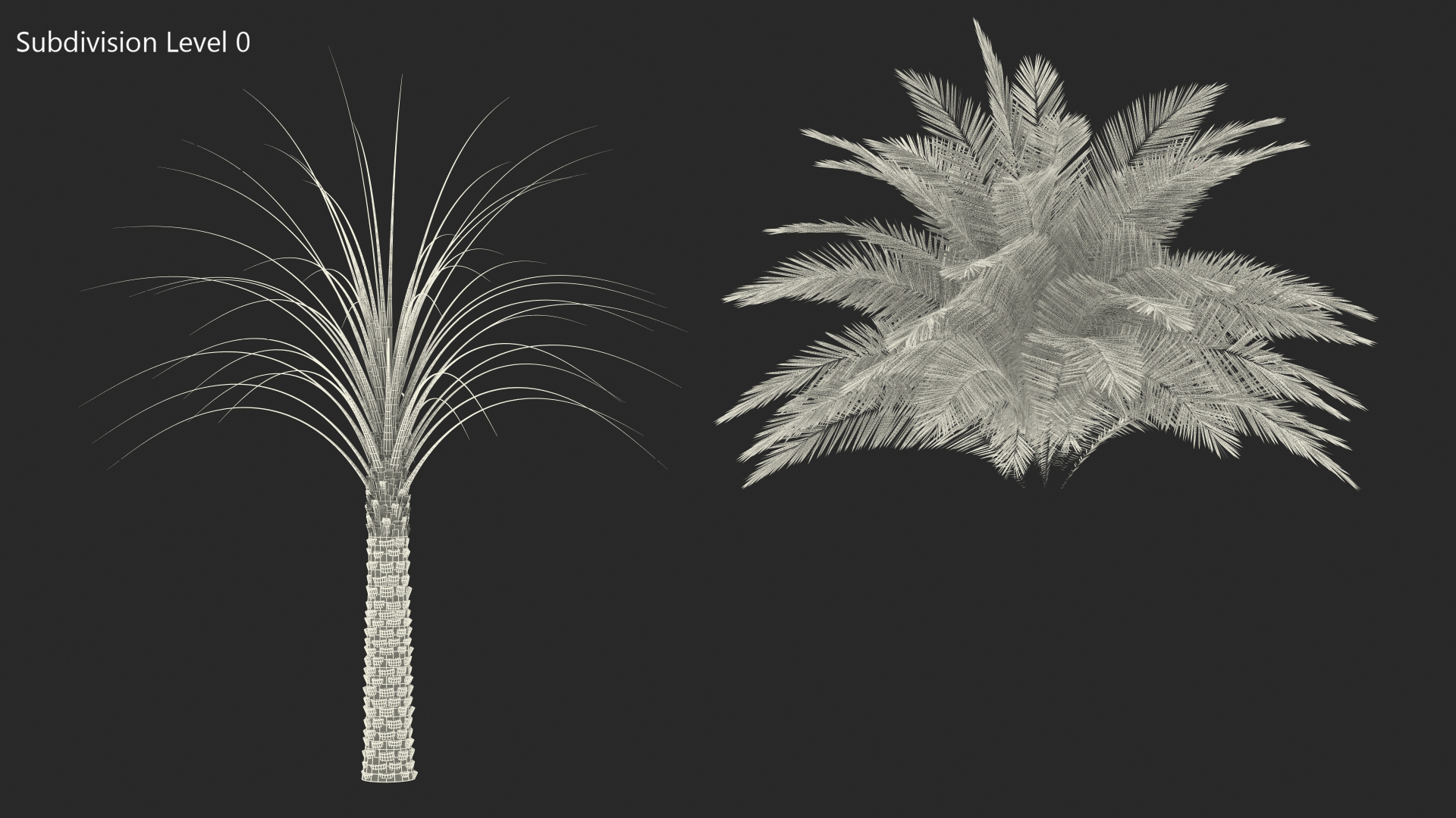 3D Silver Date Palm