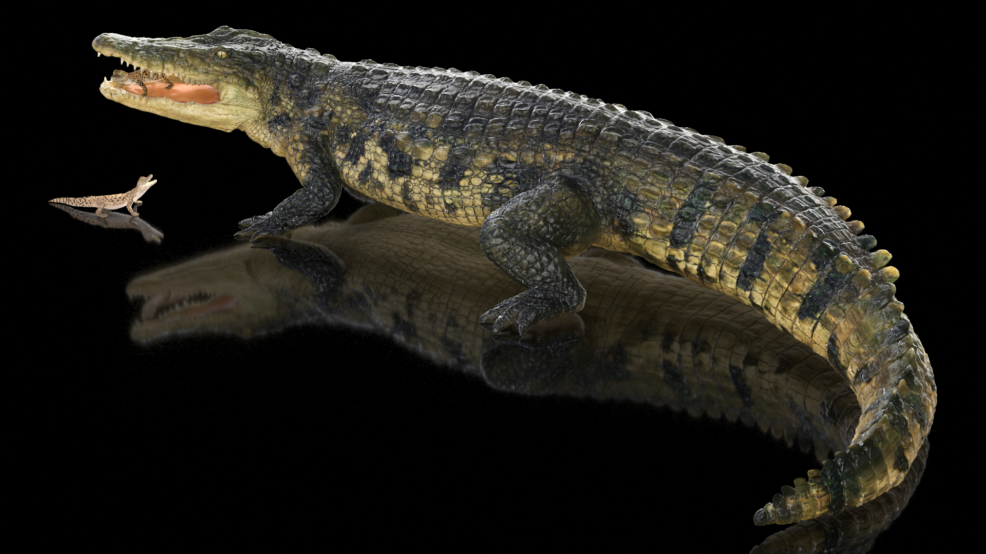 3D model Mother Crocodile Carrying Baby