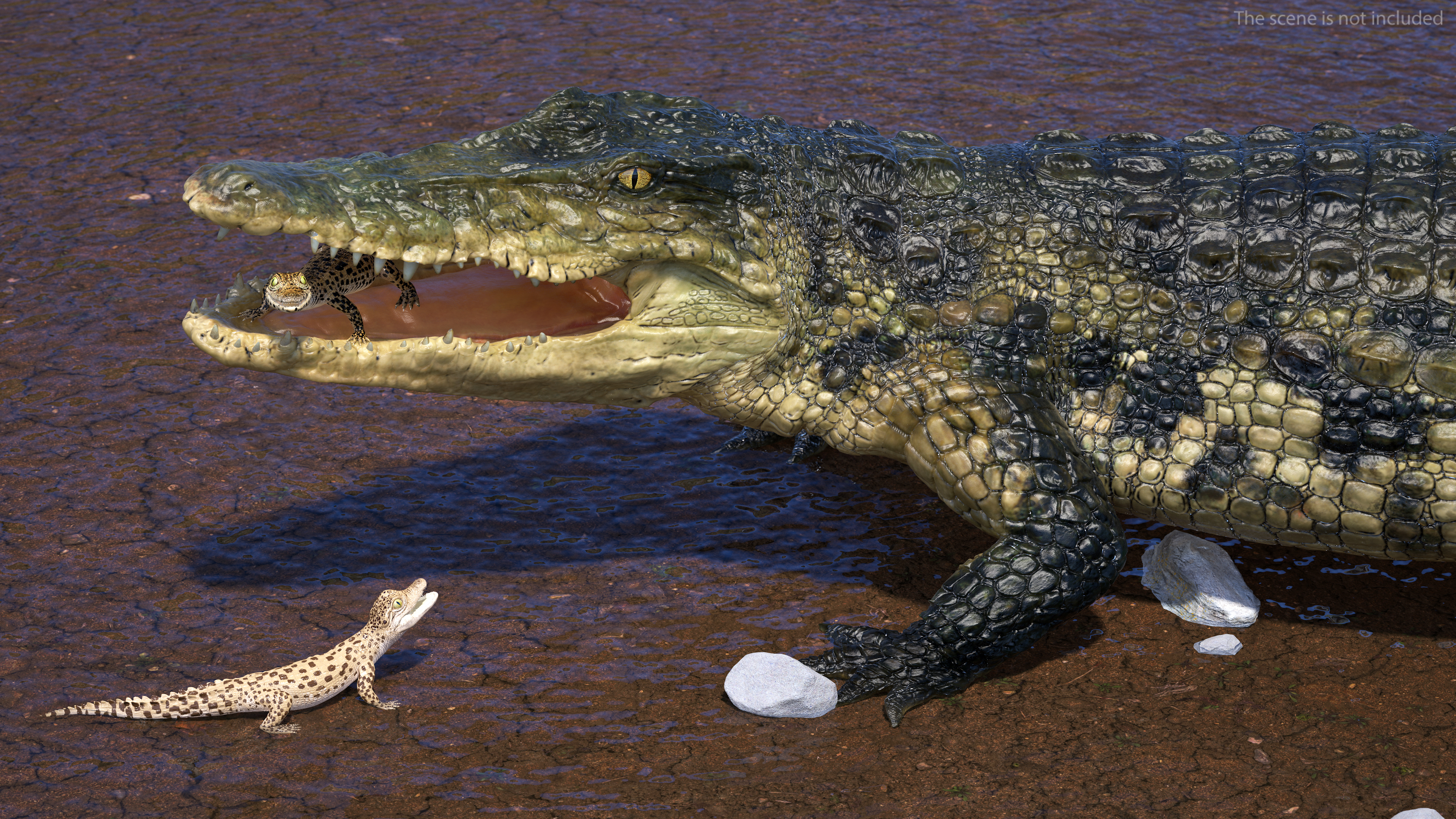 3D model Mother Crocodile Carrying Baby