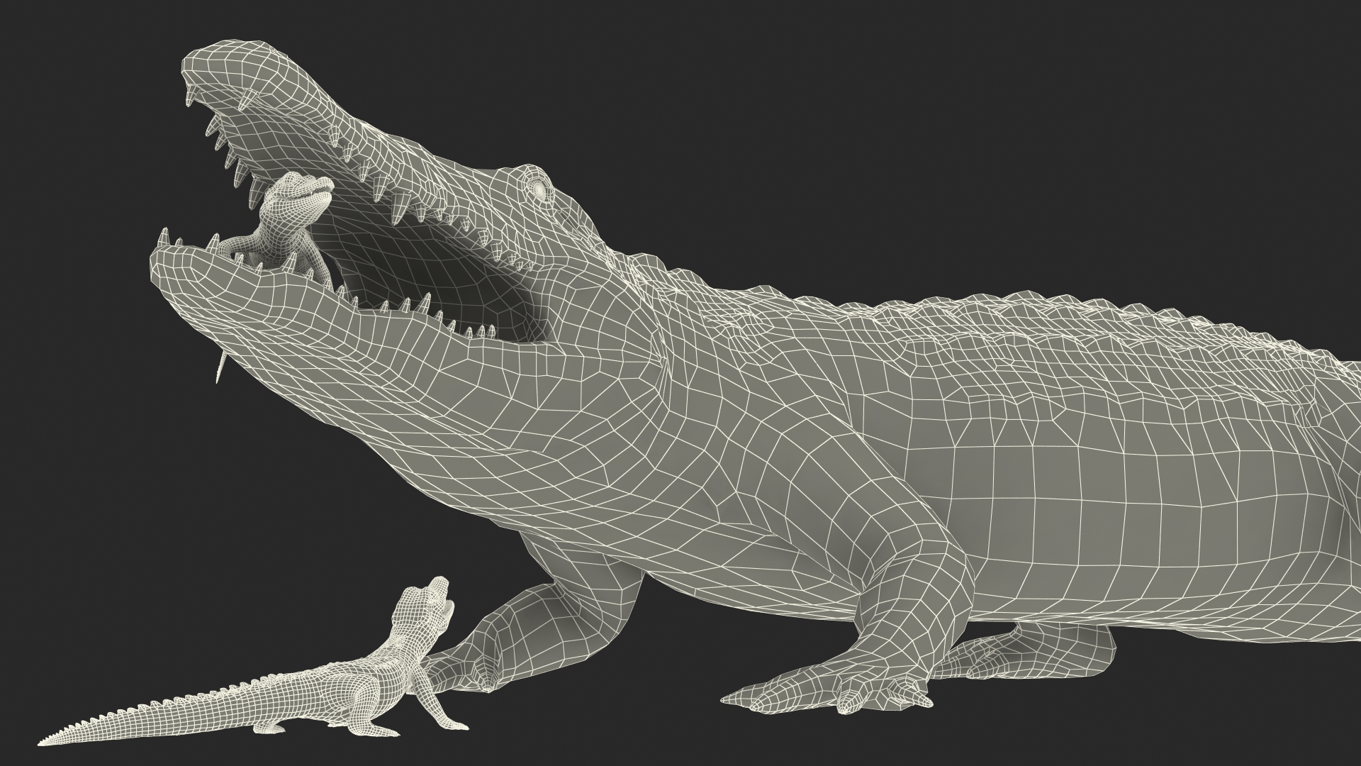 3D model Mother Crocodile Carrying Baby