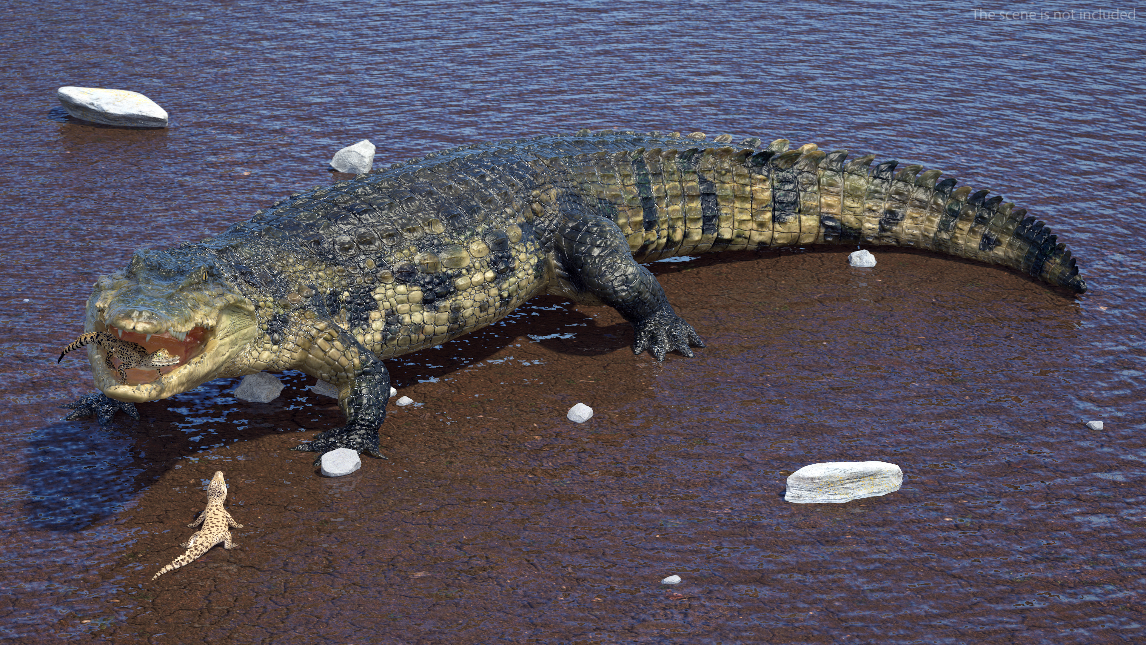 3D model Mother Crocodile Carrying Baby